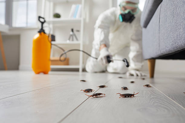 Post-Treatment Bed Bug Interceptor Monitoring in Appalachia