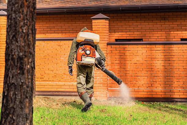 Bed Bug Clearance Verification and Documentation in Appalachia